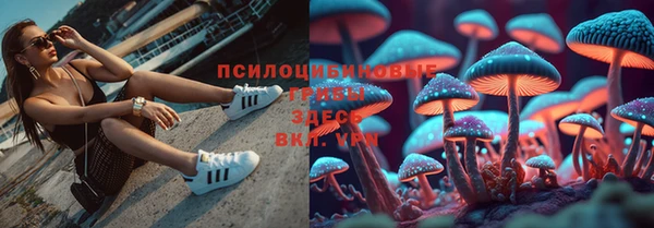 тгк Абаза