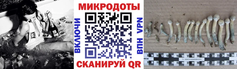 Псилоцибиновые грибы прущие грибы  где продают   Новотитаровская 